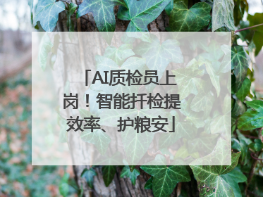 AI质检员上岗！智能扦检提效率、护粮安