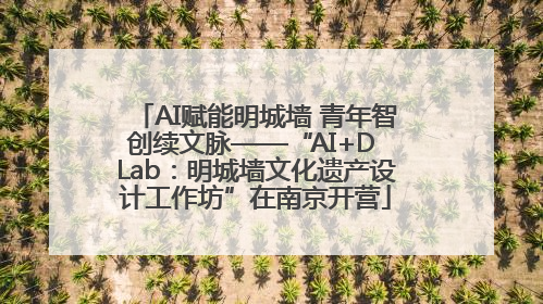 AI赋能明城墙 青年智创续文脉——“AI+D Lab：明城墙文化遗产设计工作坊”在南京开营